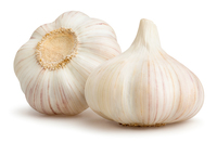 garlic türkçesi