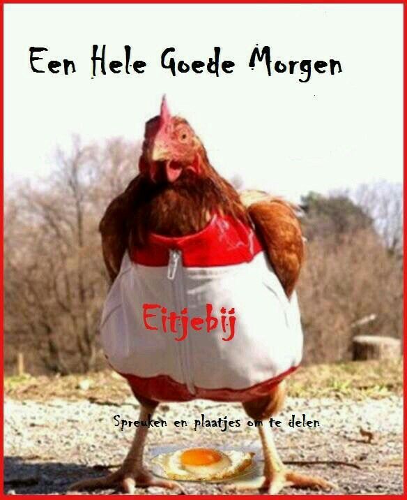 goedemorgen funny