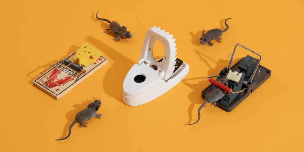 good mouse traps