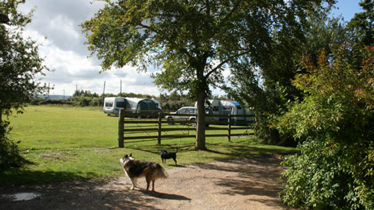 greenway farm campsite