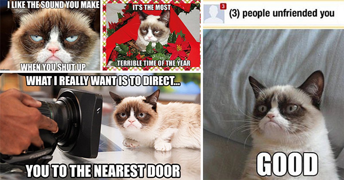 grumpy cat good meme