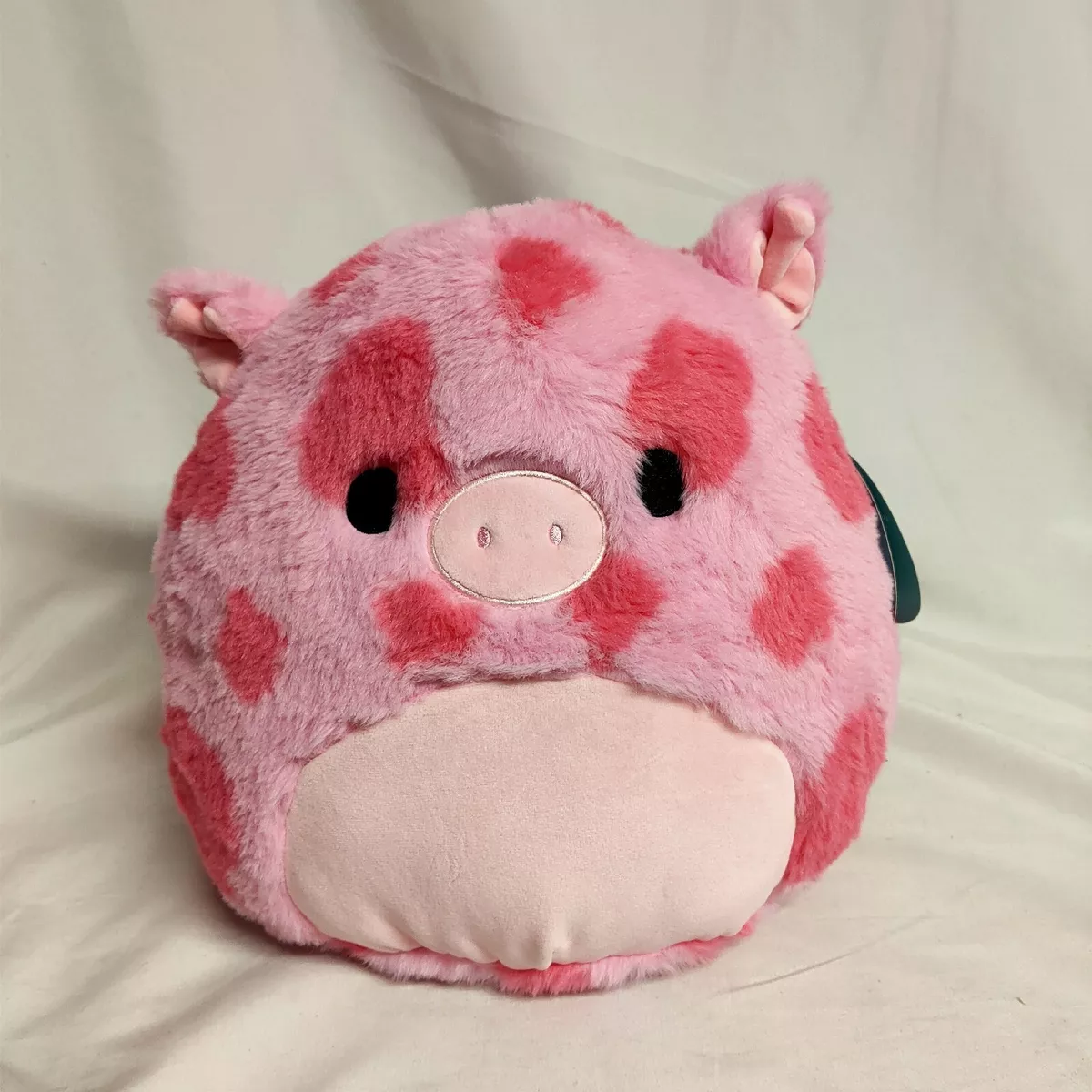 gwendle squishmallow