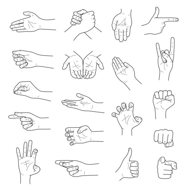 hand drawn hands