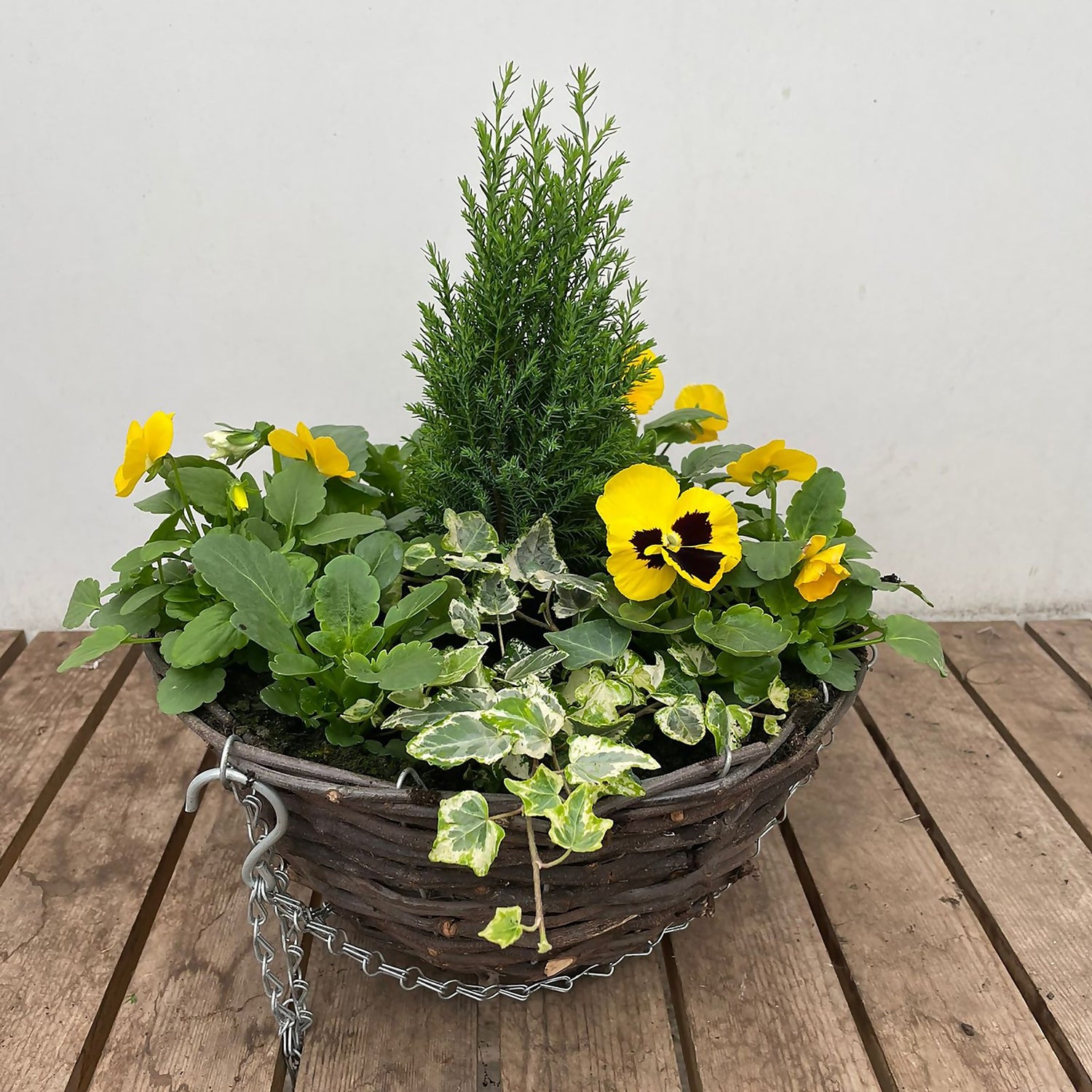 hanging baskets homebase