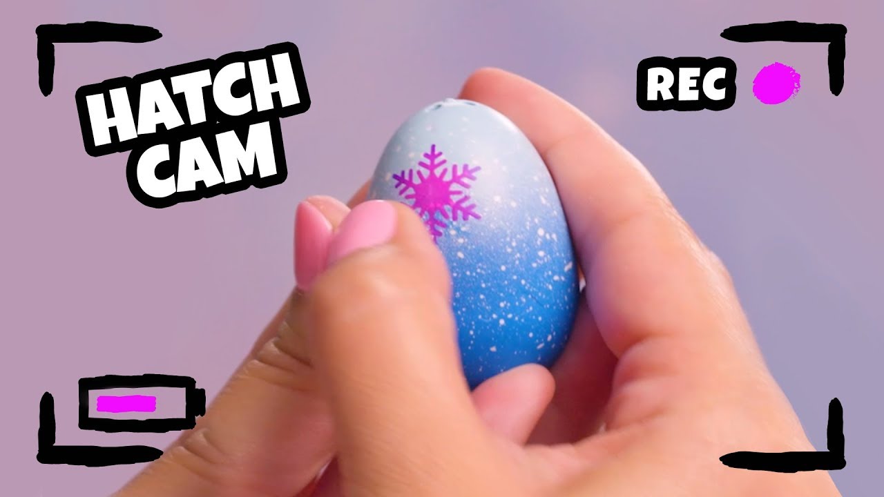 hatchimals how to hatch