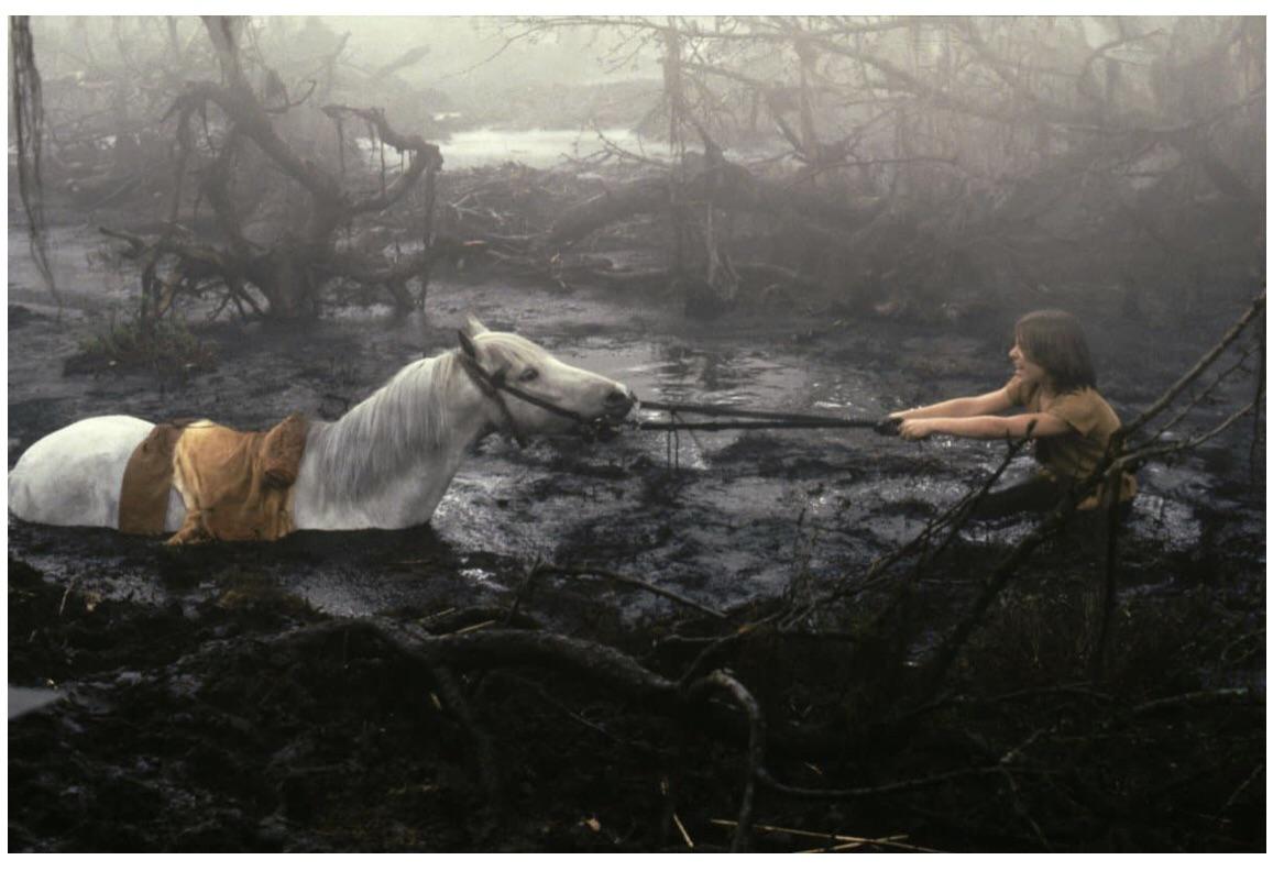 horses name in the neverending story