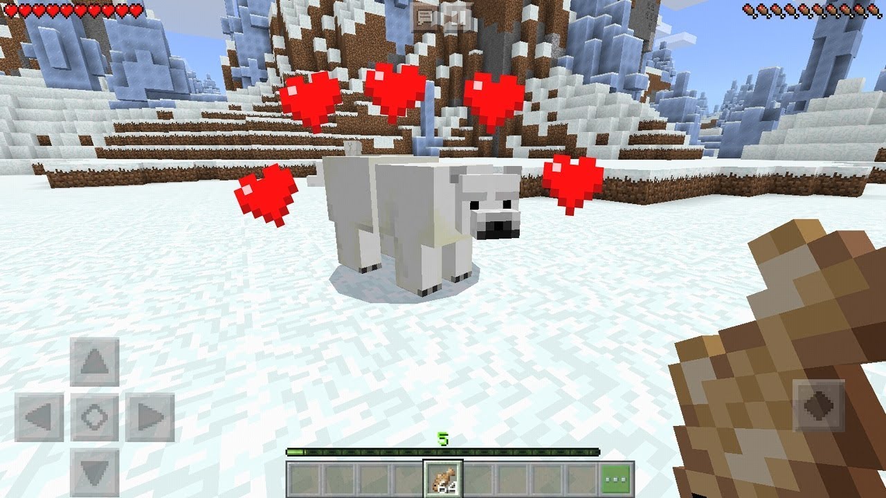 how do i tame a polar bear in minecraft