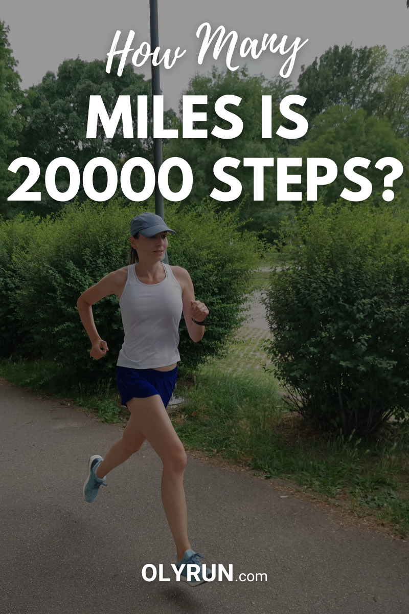 how many kilometers is 20000 steps