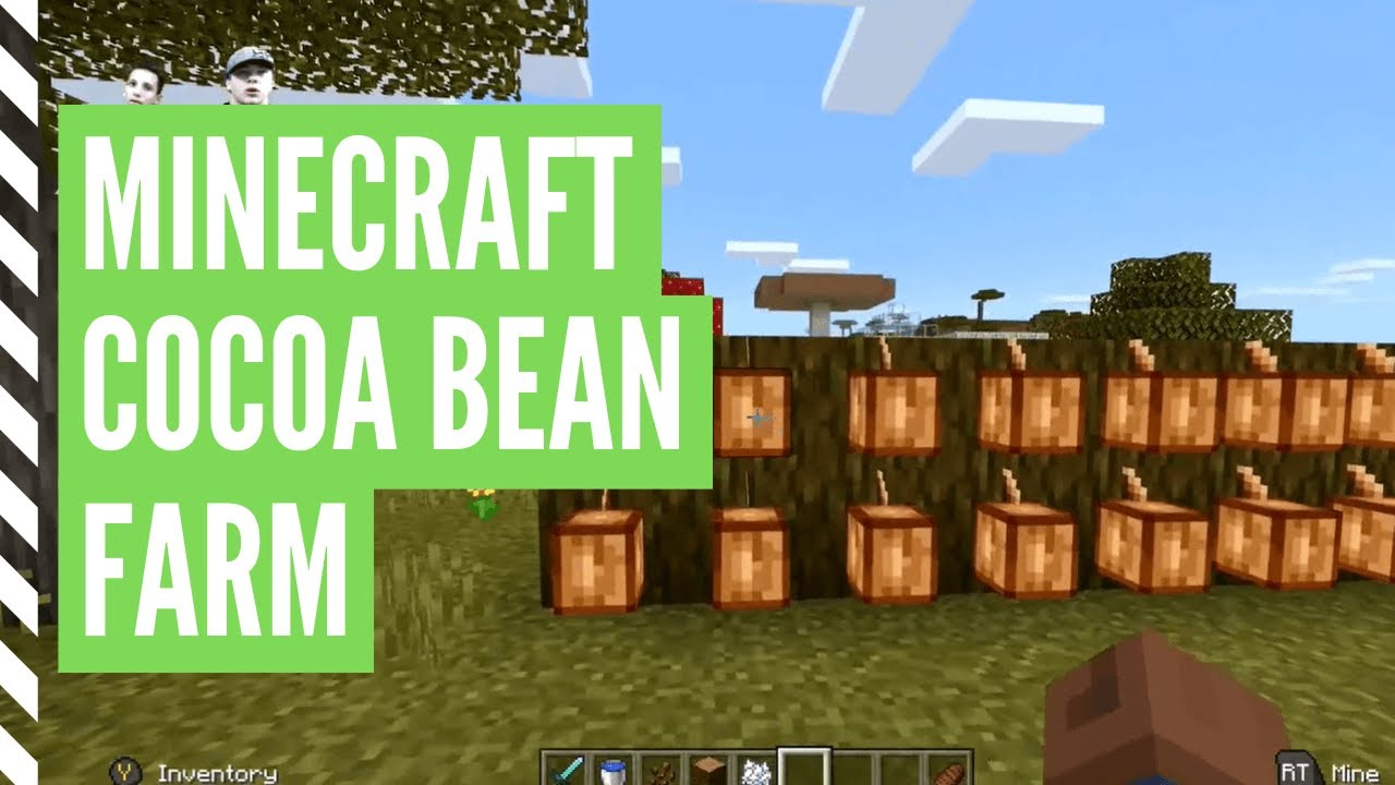 how to grow cocoa in minecraft