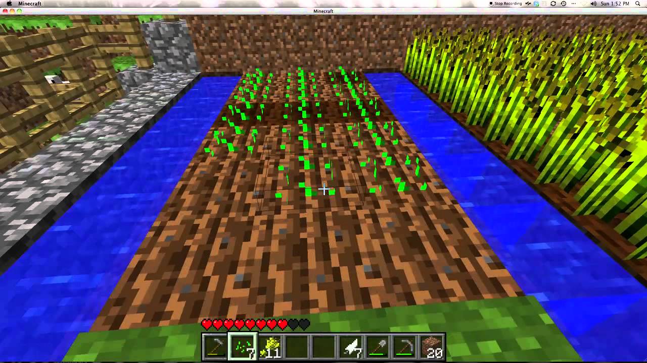 how to grow seeds in minecraft