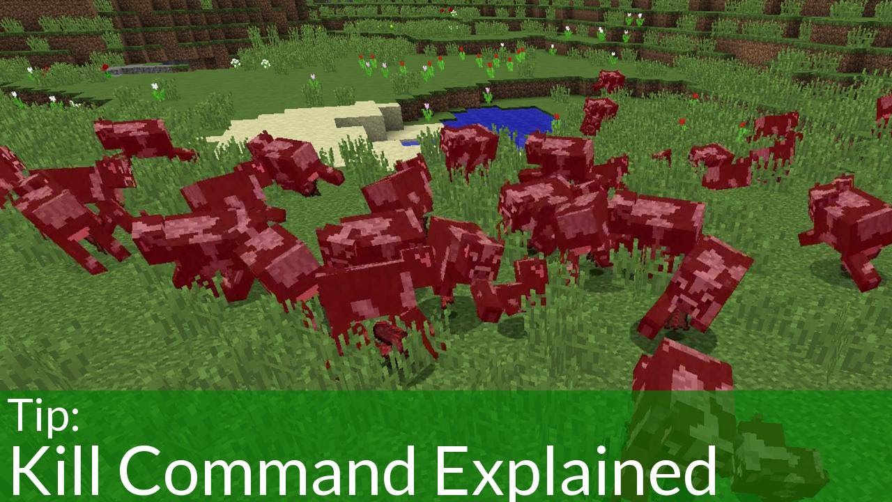 how to kill a mob in minecraft command