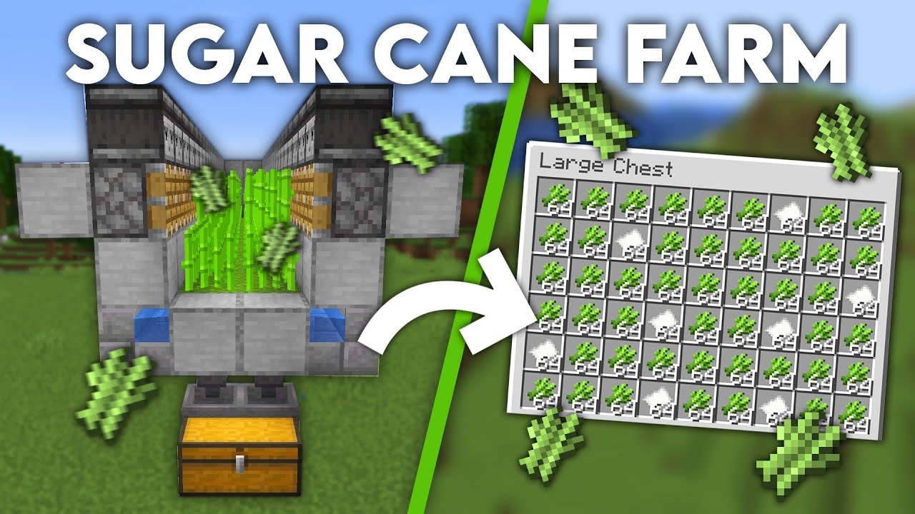 how to make sugarcane farm