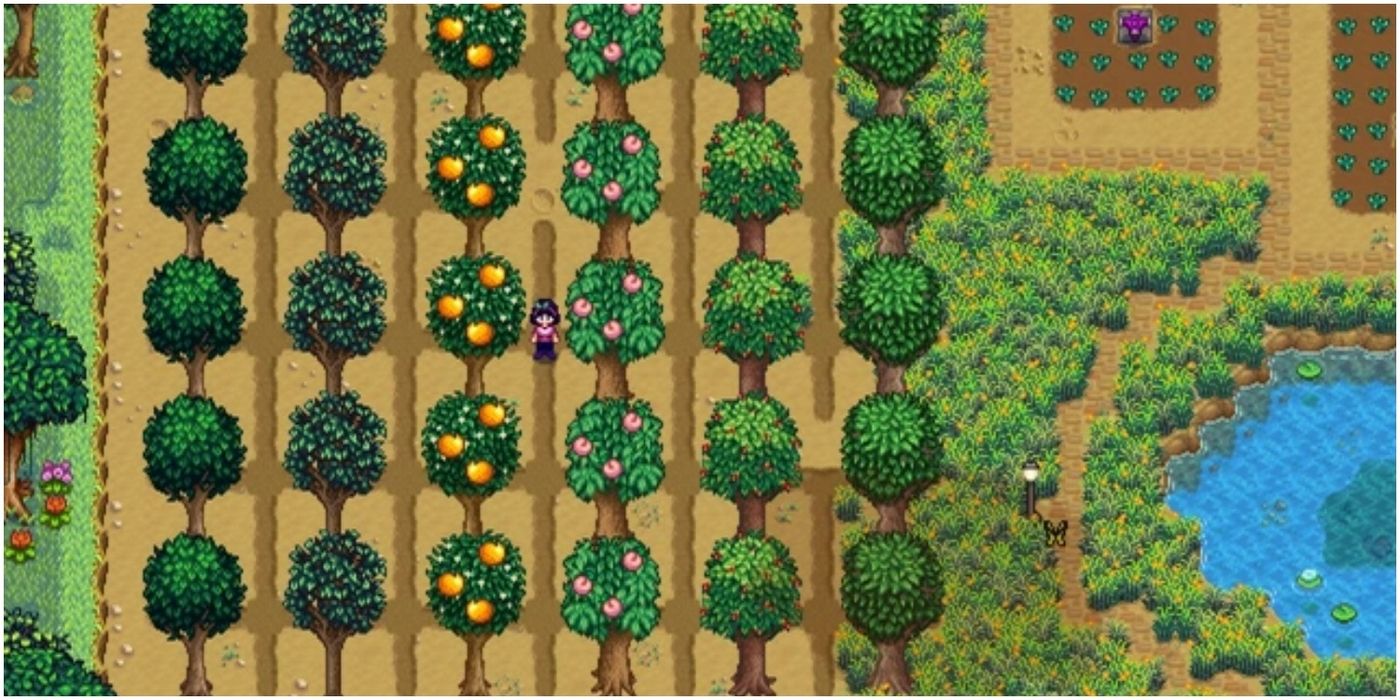 how to plant trees stardew valley