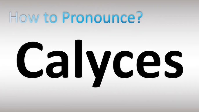 how to pronounce calyx