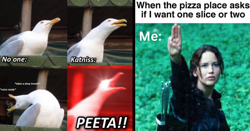 hunger game memes