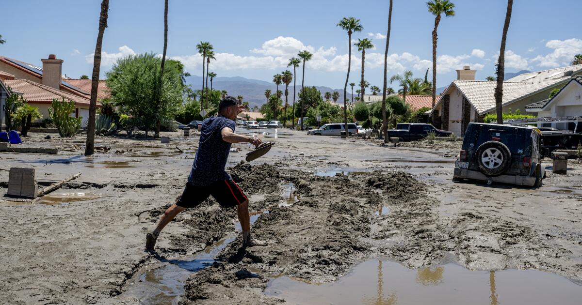 hurricane palm springs