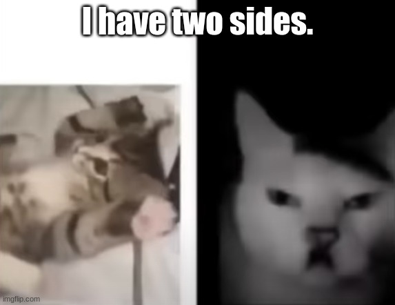 i have two sides meme