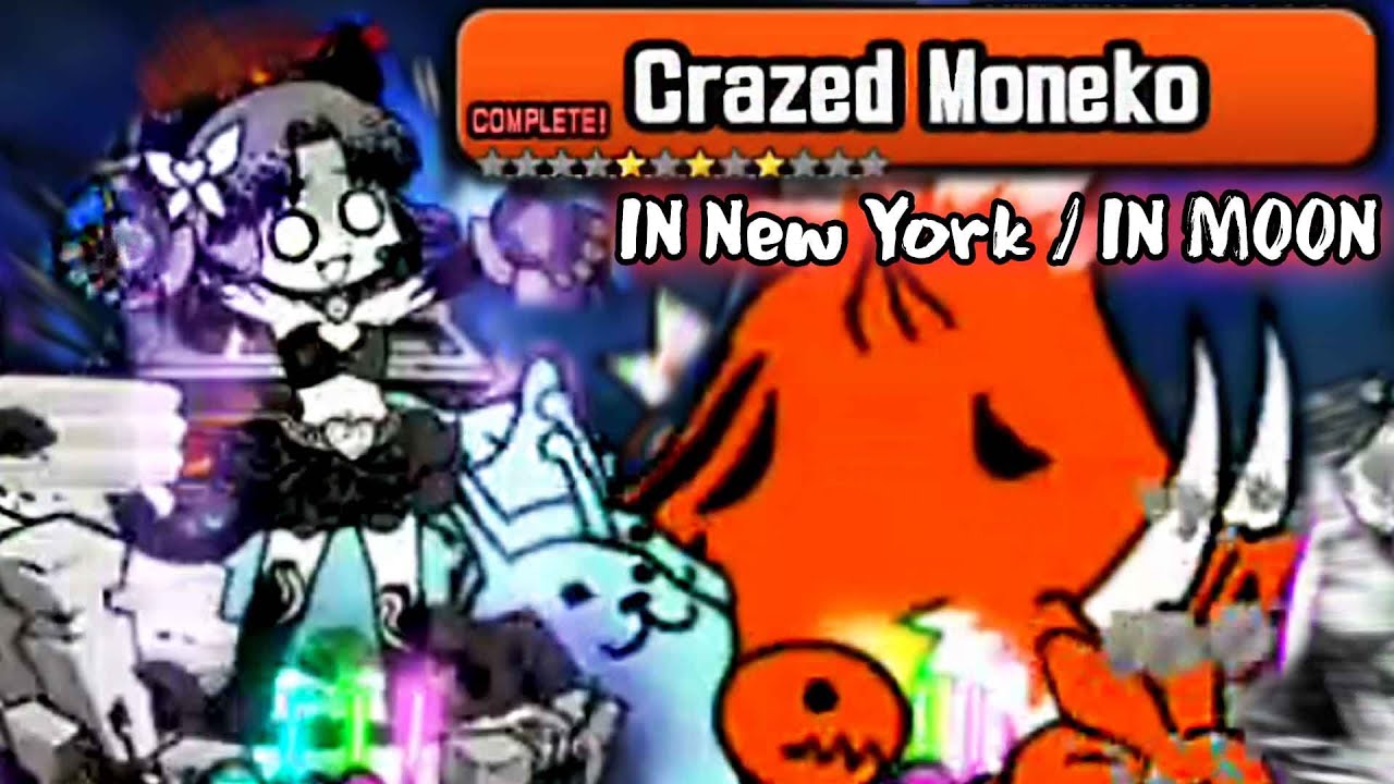 in new york battle cats moneko