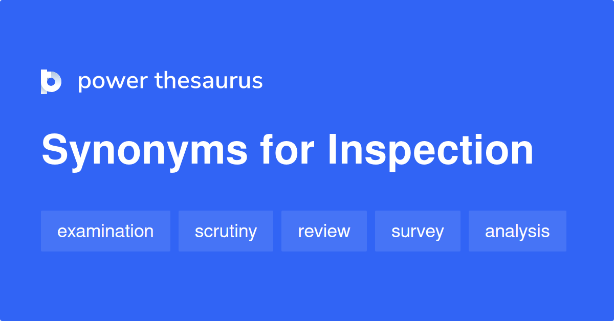 inspection synonym