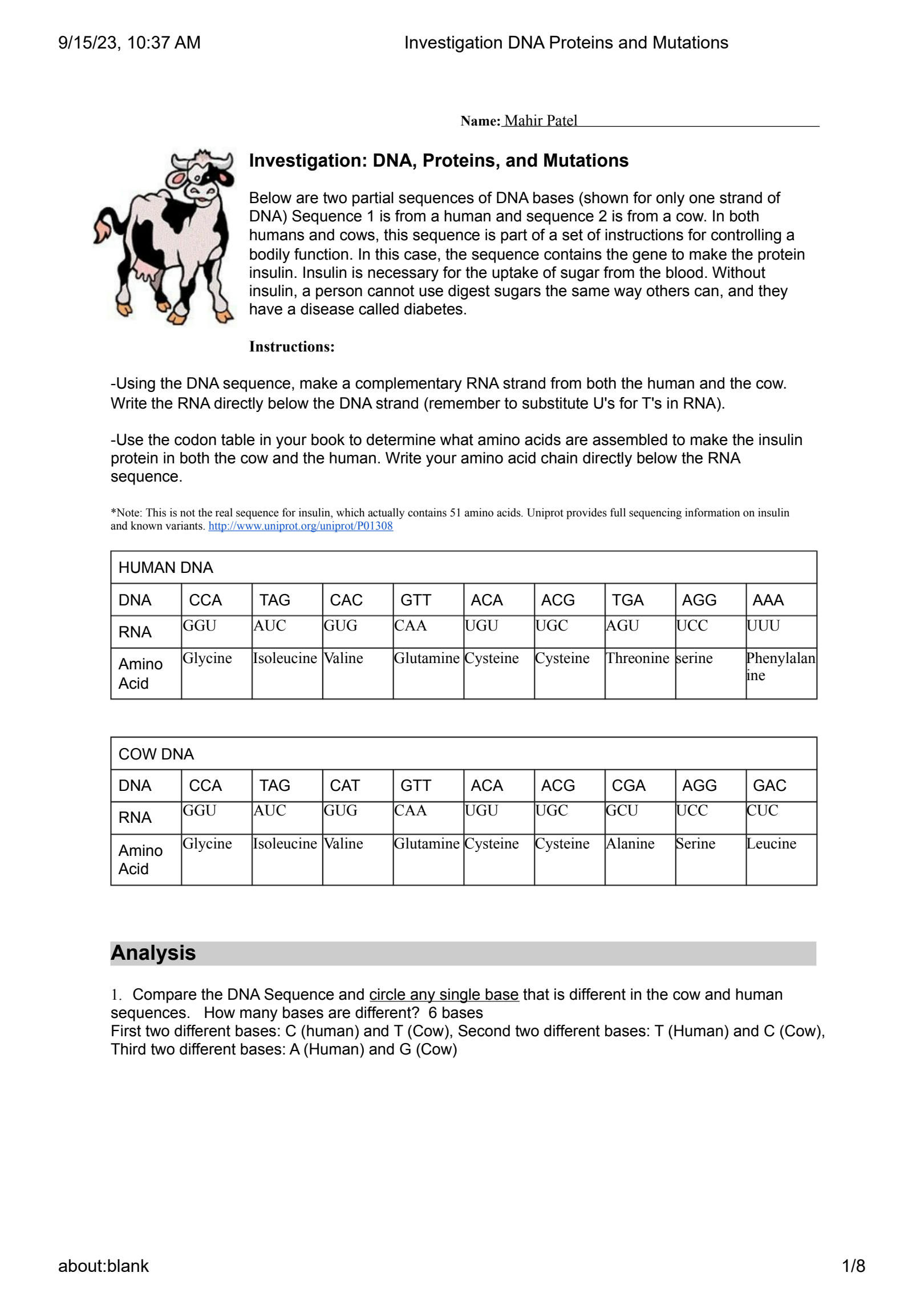 investigation dna proteins and mutations worksheet