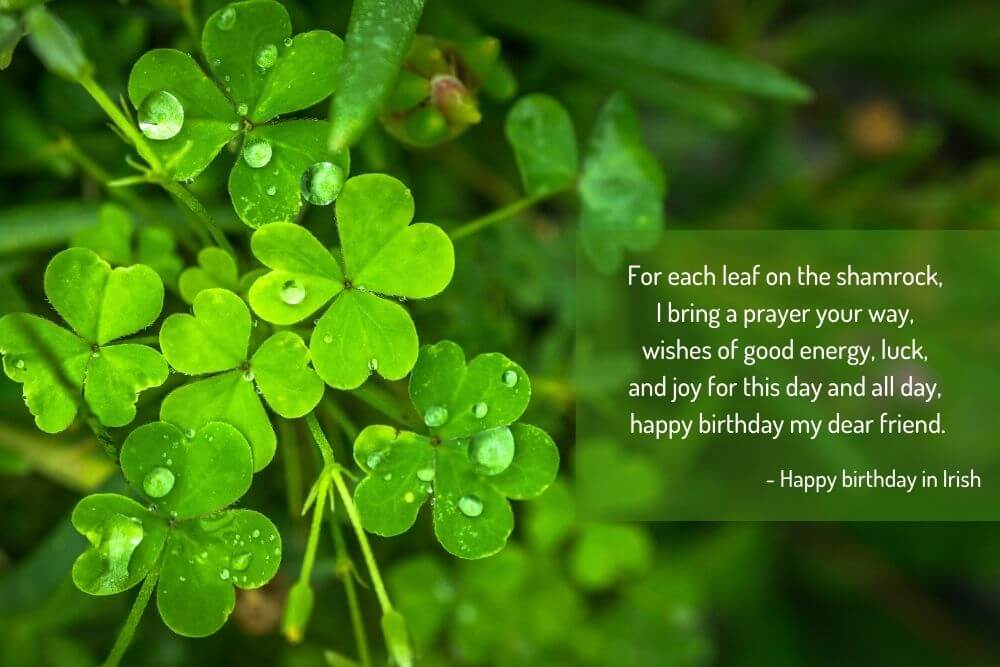 irish birthday wishes