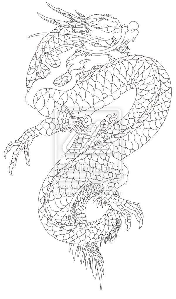 japanese dragon tattoo sketch