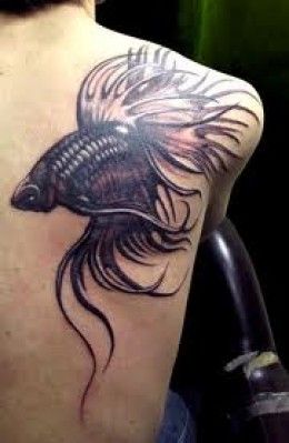 japanese fighting fish tattoo