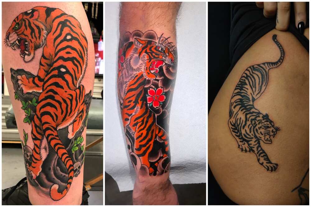 japanese tiger tattoo