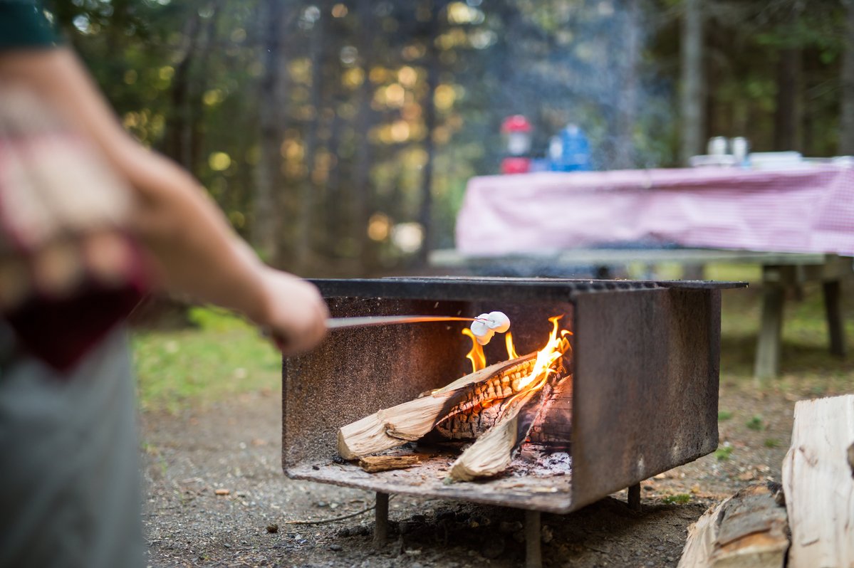 jasper national park fire ban