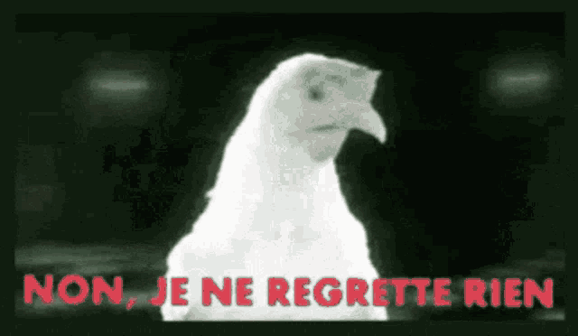 je ne regrette rien ne demek