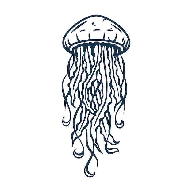 jellyfish vector