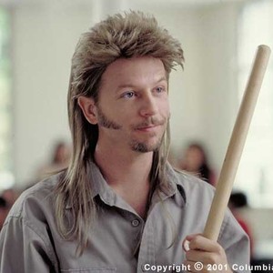 joe dirt photos