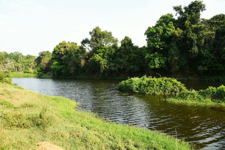 kabani riverside