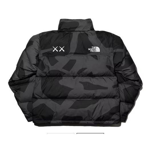 kaws x tnf