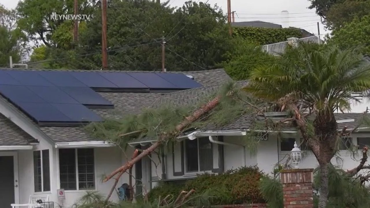 la mirada tornado