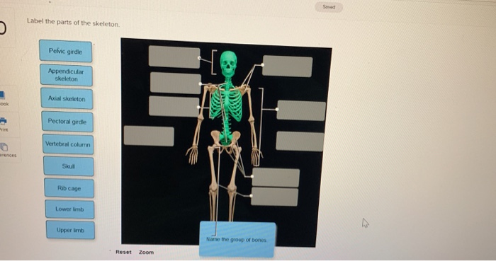 label the parts of the skeleton chegg