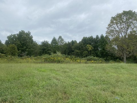 land for sale pleasant view tn