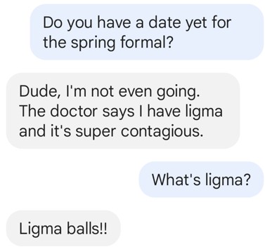 ligma balls picture