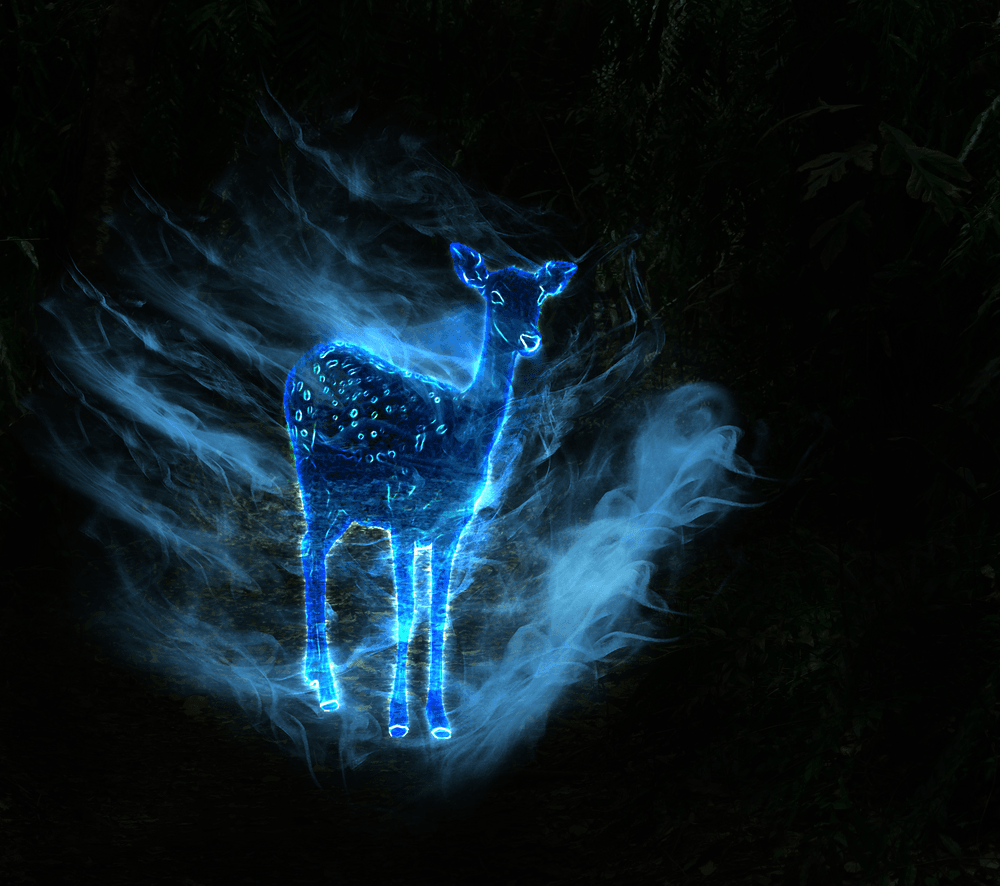 lilys patronus