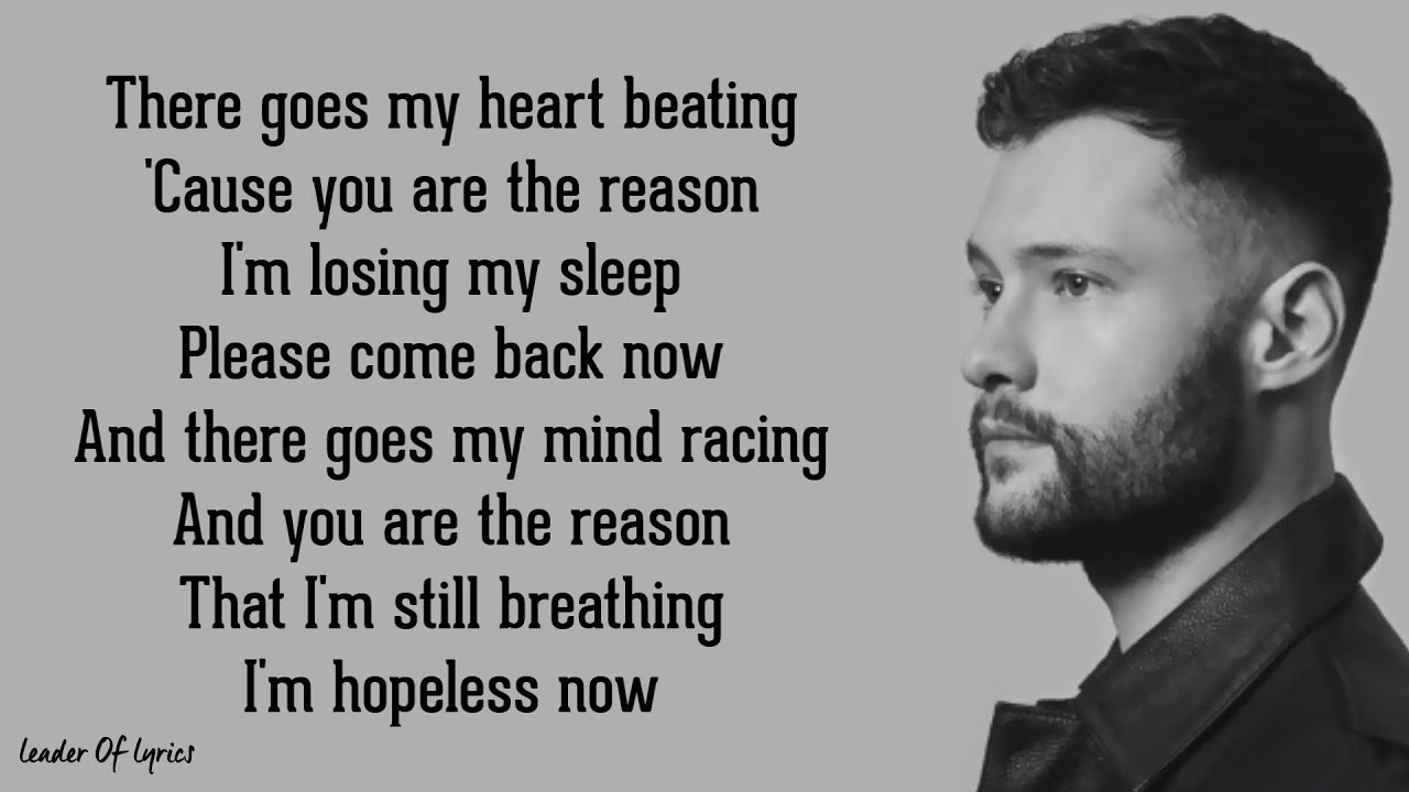 listen to calum scott you are the reason