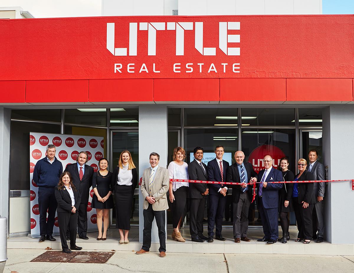 little real estate springwood