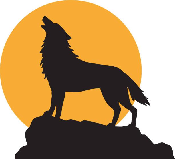 loup silhouette