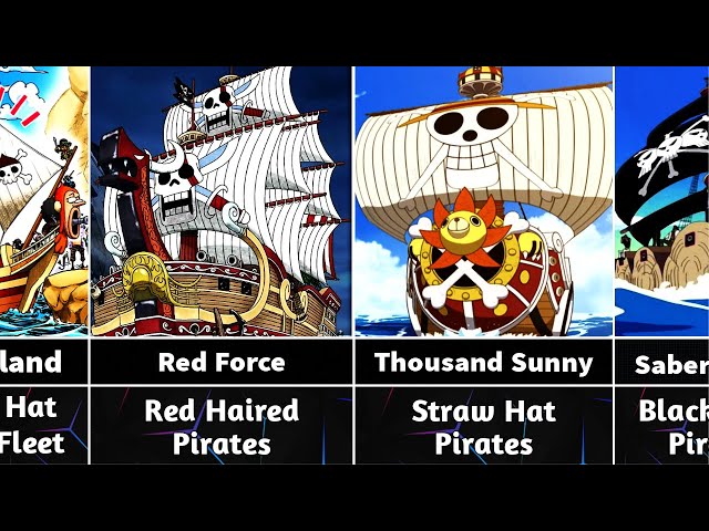 luffy ship name