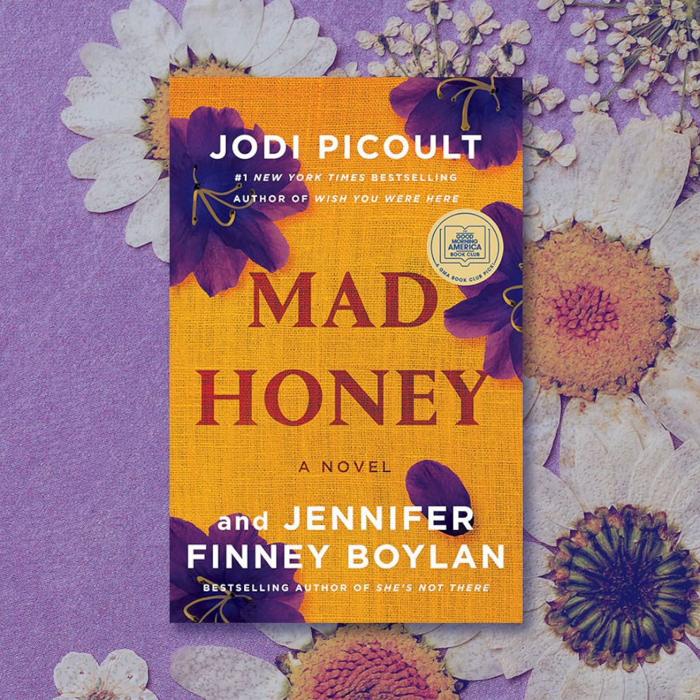 mad money book picoult