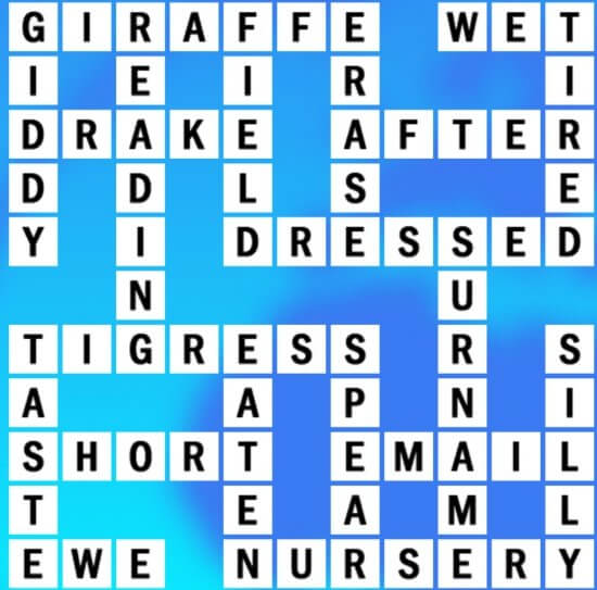 male duck crossword clue