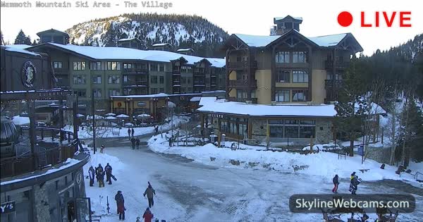 mammoth mountain ski area webcams