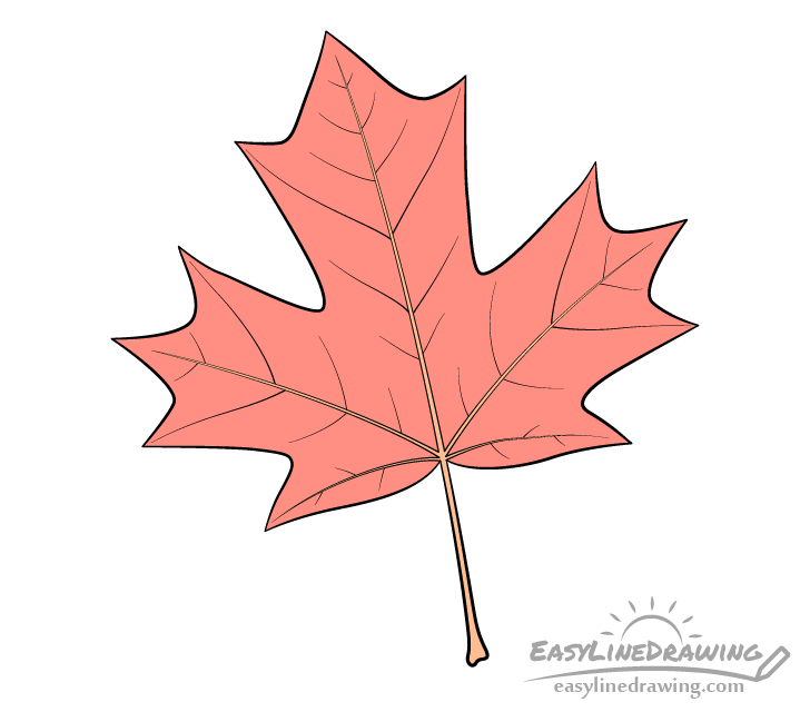 maple tree leaves drawing