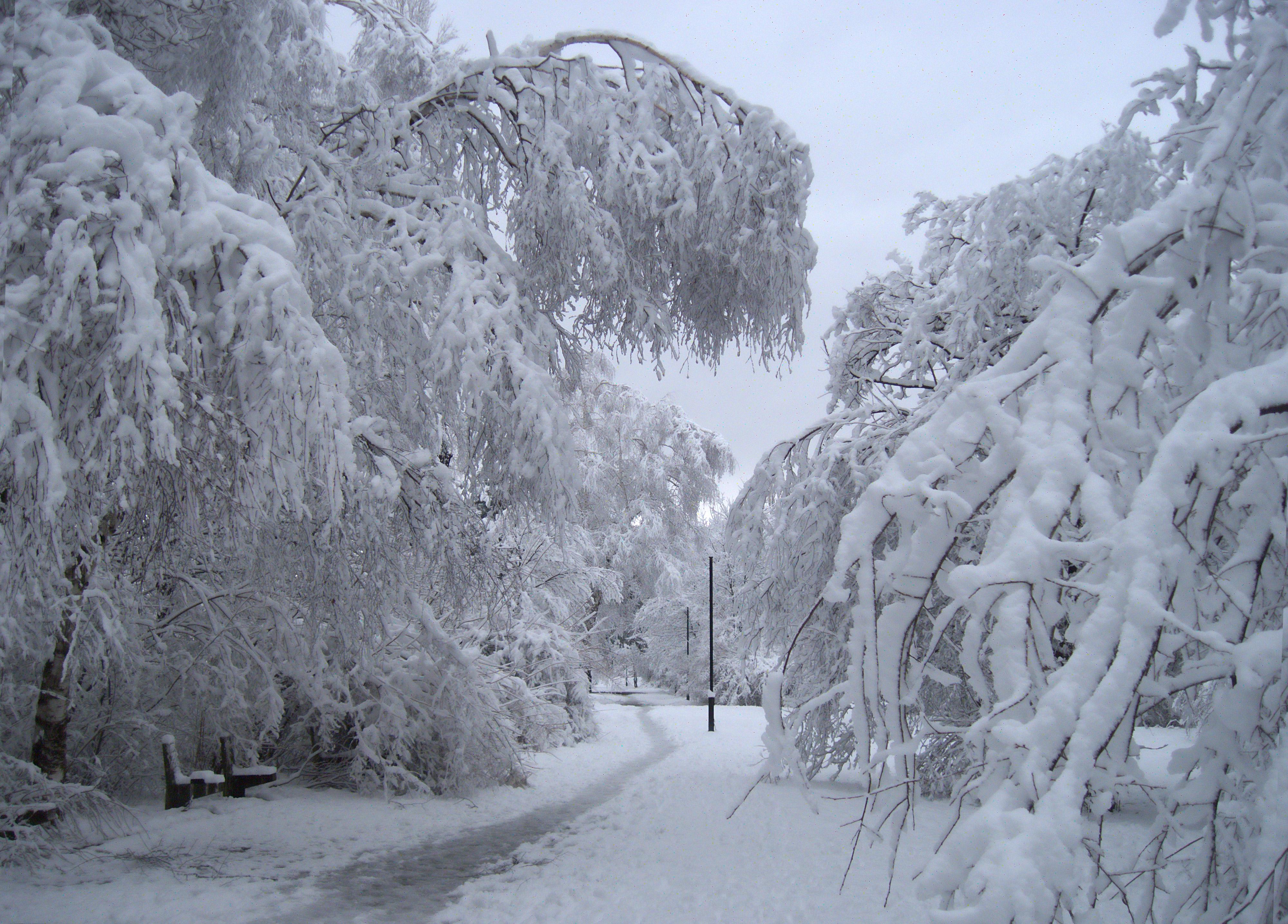 markham ontario weather