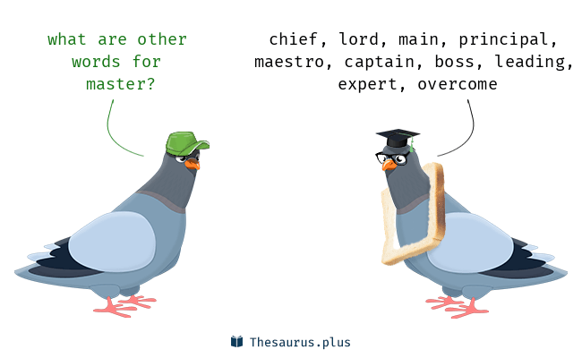 master synonym