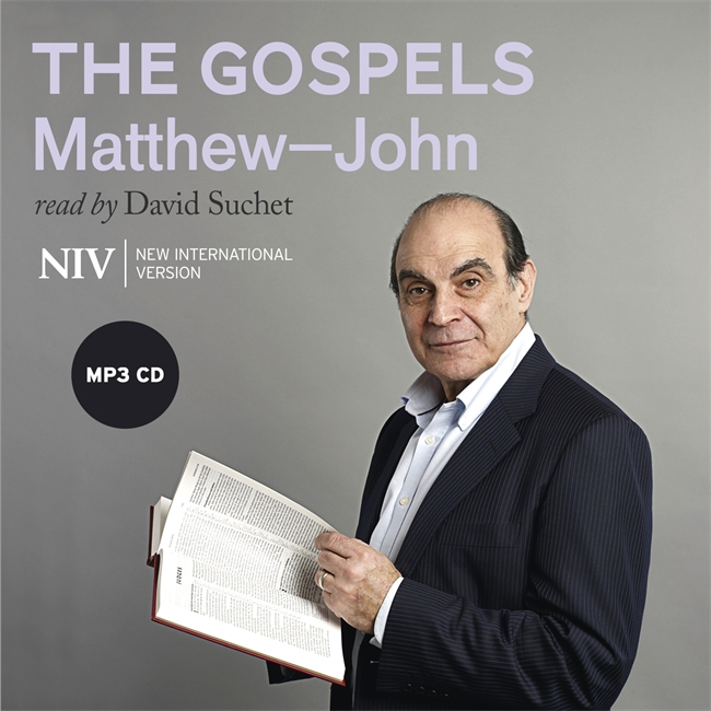 matthew audio bible